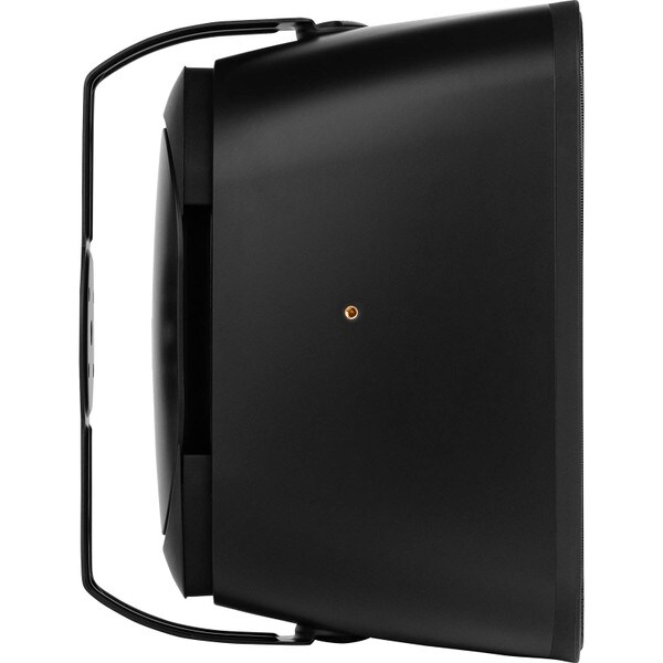 Main product image for Dayton Audio IO8XTB 8" 70/100V 8 Ohm Indoor/Outdoor 2-Way Speaker w/ Bass Radiator Black310-034